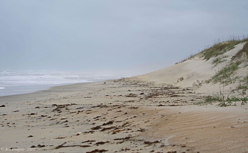 Cape Hatteras National Seashore
