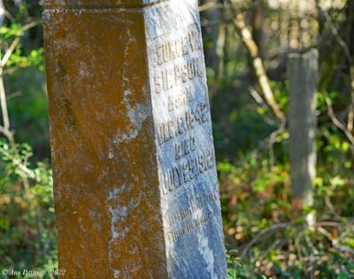 Simpson Graves