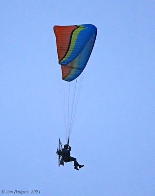 Paraglider