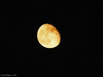 Waning Gibbous Moon