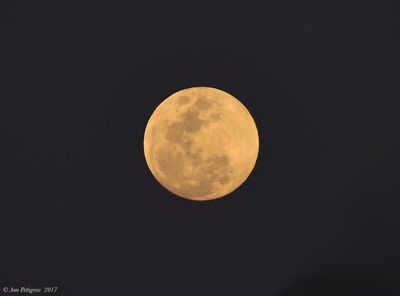Moon