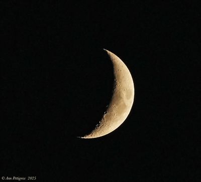 Crescent Moon