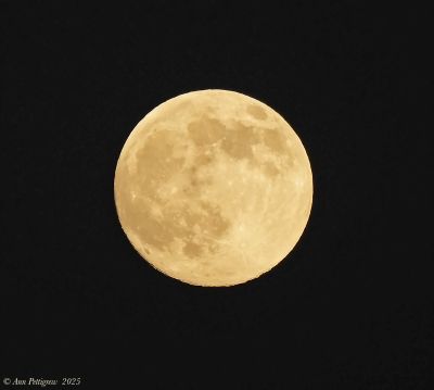 One Day Shyof the Beaver Moon