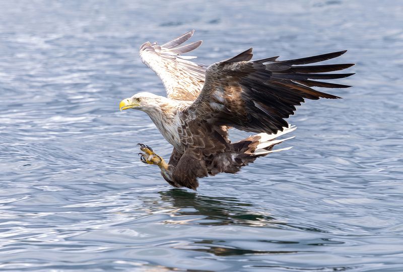 sea3.jpg