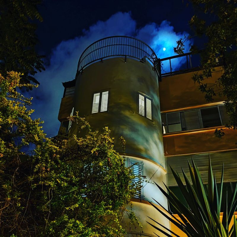 The Hounted House