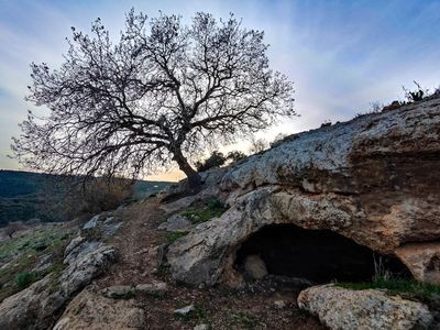An Anchient Olive-Press Cave