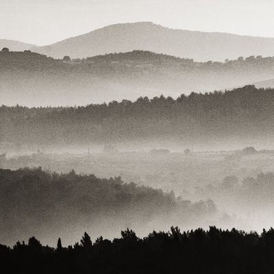Foggy Sunrise