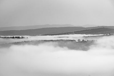 A Foggy Morning
