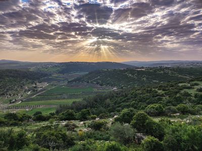 Sunrise Sunrays