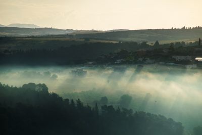 Foggy Shadows