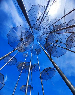 The Umbrellas of Zongolopoulos