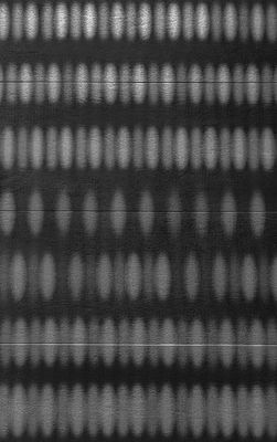 Interference