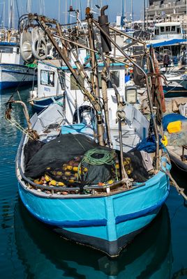 Ready to Sail