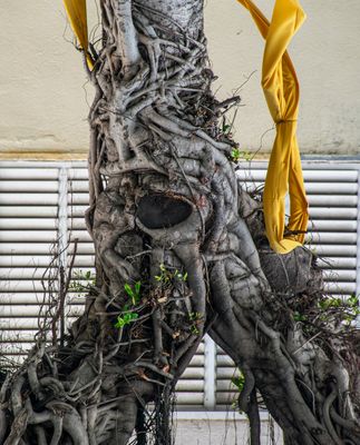 Yellow Ribbon