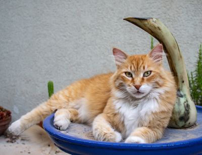 The Pics that won't Fit Anywhere