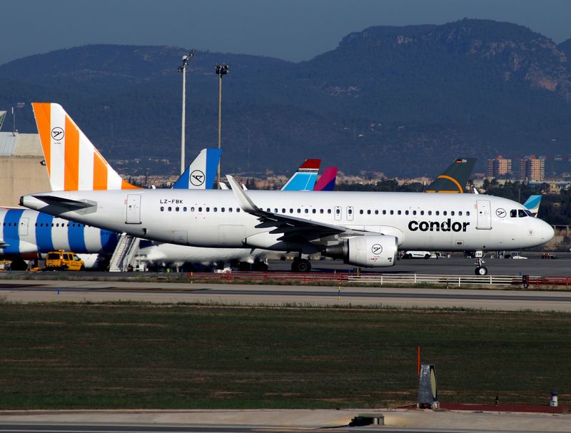 Dep Palma