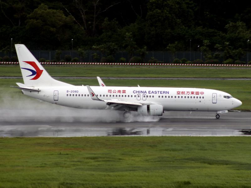 B737-800(WL) B-208D
