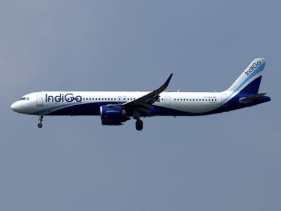 Indigo