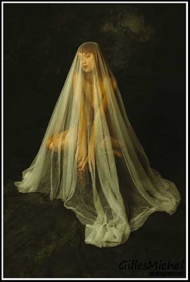 The Veil by Milla