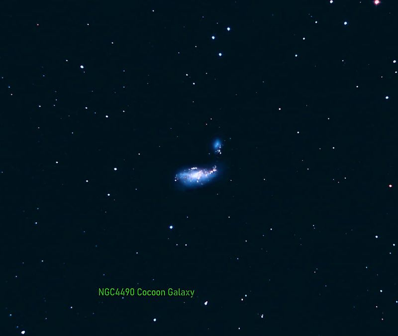 NGC4490 Cocoon Galaxy 1/5/24