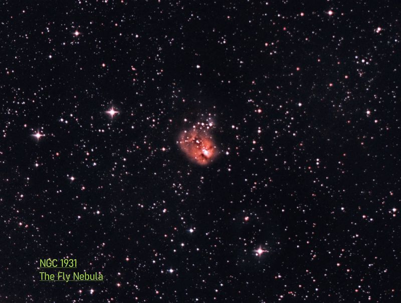 NGC 1931 The Fly Nebula.