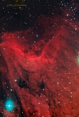  All I could get of the IC 5070 The Pelican Nebula.