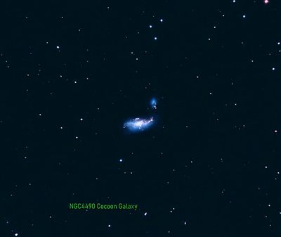 NGC4490 Cocoon Galaxy 1/5/24'