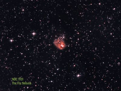 NGC 1931 The Fly Nebula.