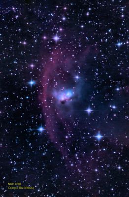 NGC1788 Cosmic Bat Nebula.