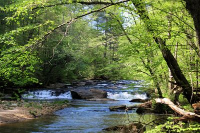 Lower Falls on Elkin Creek