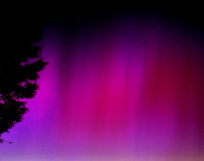 _MG_6754.JPG