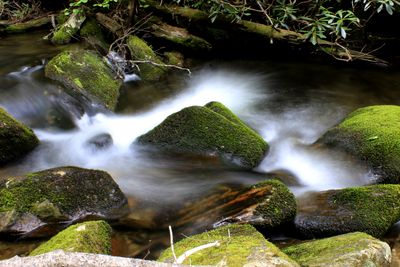 Hike Basin Creek 5-13-24