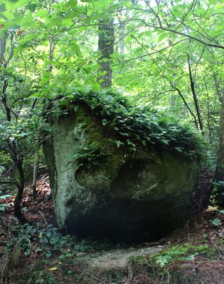 Trail to Wolf Rock