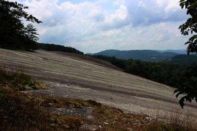IMG_7314.JPG