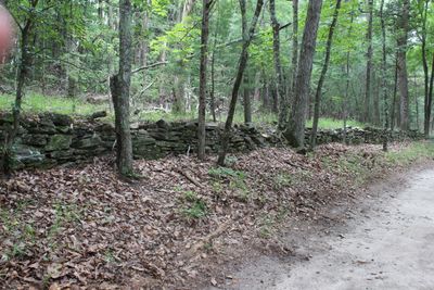 IMG_7334.JPG