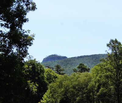 IMG_8322.JPG