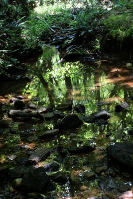 Hike 7/31/24
