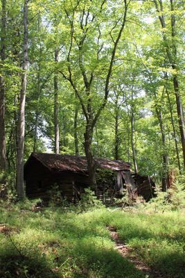 Hike 7/31/24 Old Logs Cabin I Came a Cross
