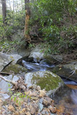 4-25-24. Hike to Upper Rich Mt. Creek