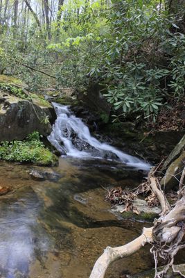4-25-24. Hike to Upper Rich Mt. Creek