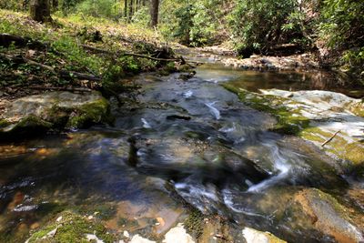 4-25-24. Hike to Upper Rich Mt. Creek