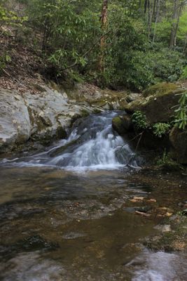 4-25-24. Hike to Upper Rich Mt. Creek
