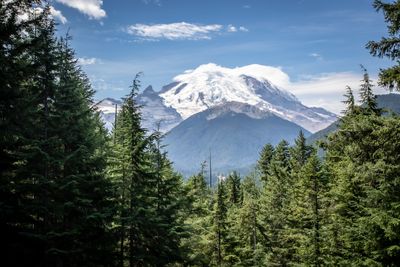 Mt. Rainier East Side
