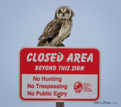 No Hunting