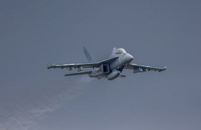 Growler