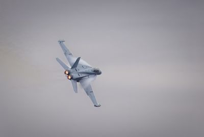 Growler