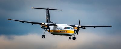US Army Golden Knights