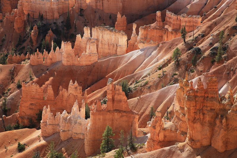 00133-3B9A6487-The Wonderful Geology of Bryce Canyon.jpg