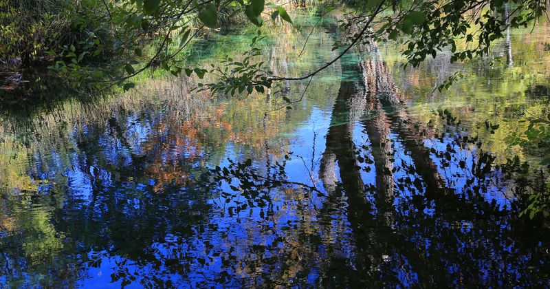 0062-3B9A9716-Creek Reflections of Autumn.jpg