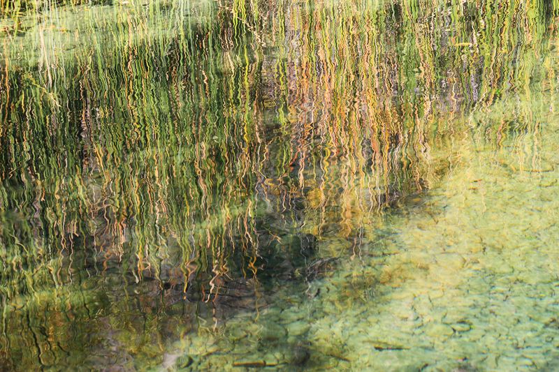 0064-3B9A9421-Reflections along Fossil Creek.jpg
